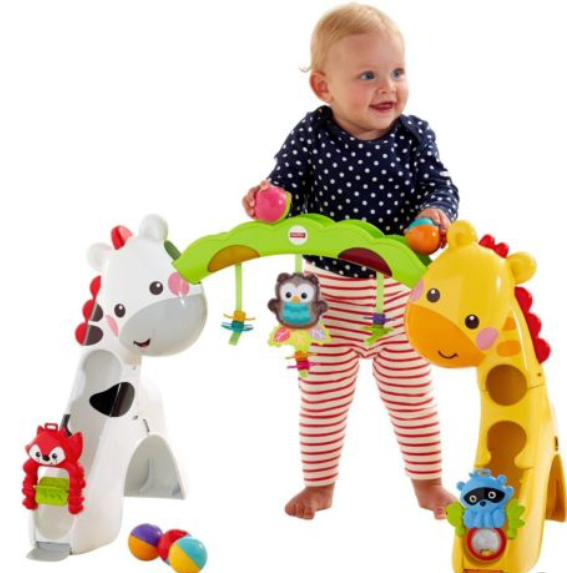 Fisher Price Newborn to Toddler Play Gym 