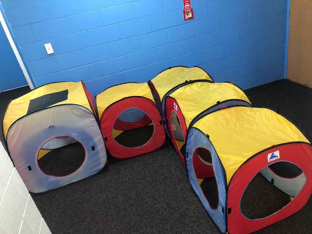 Popup Playhut Tent with Tunnels